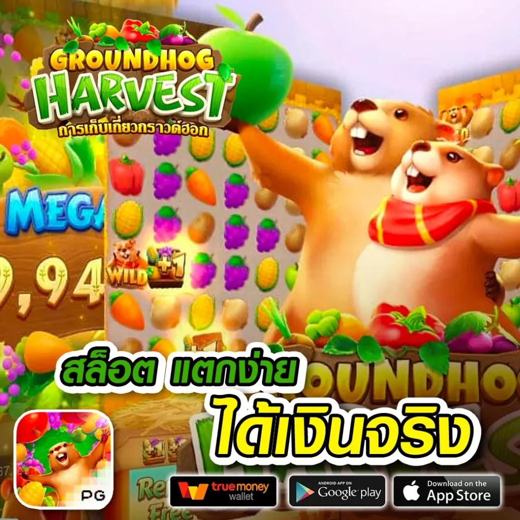 g2g88 คาสิโนครบวงจร สมัครง่าย ฝากถอนรวดเร็วปลอดภัยสูงสุด