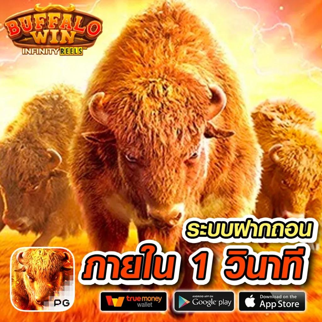 เว็บตรงสิงคโปร์แท้ แจกโบนัสทันใจ ระบบทันสมัย 2024
